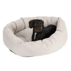 Cama Modern Living Bailey Para Perros -Mascota Tienda 111544 hundebett baily fg 0610 8