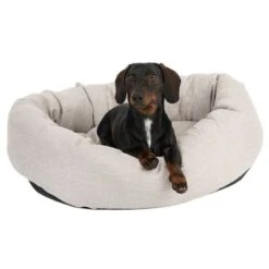 Cama Modern Living Bailey Para Perros -Mascota Tienda 111544 hundebett baily fg 0614 5