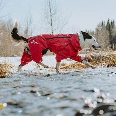 Chubasquero Bare Berry Hurtta Para Perros - Imagen 9