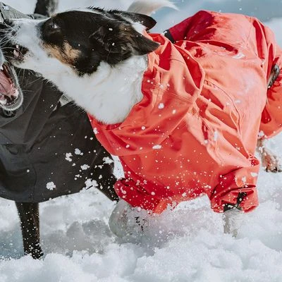 Chubasquero Bare Berry Hurtta Para Perros - Imagen 10
