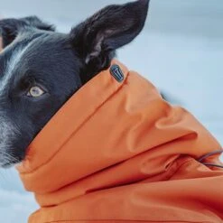 Abrigo Invernal Bare Sunrise Hurtta Para Perros -Mascota Tienda 188296 188297 188298 188299 188300 188301 188302 hurtta forzooplus bare winterjacke sunrise hs 15 9