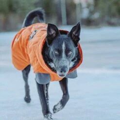 Abrigo Invernal Bare Sunrise Hurtta Para Perros -Mascota Tienda 188296 188297 188298 188299 188300 188301 188302 hurtta forzooplus bare winterjacke sunrise hs 16 1