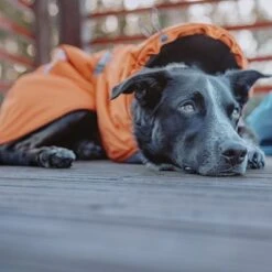 Abrigo Invernal Bare Sunrise Hurtta Para Perros -Mascota Tienda 188296 188297 188298 188299 188300 188301 188302 hurtta forzooplus bare winterjacke sunrise hs 18 3