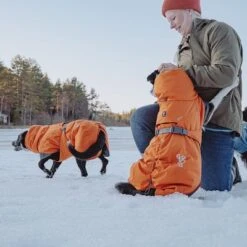 Abrigo Invernal Bare Sunrise Hurtta Para Perros -Mascota Tienda 188296 188297 188298 188299 188300 188301 188302 hurtta forzooplus bare winterjacke sunrise hs 23 1