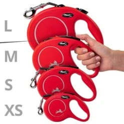 Correa Extensible Flexi New Classic Con Cinta De 5 M -Mascota Tienda 198003 flexi new classic gurt leine s schwarz hs4 3