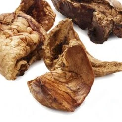 Phil & Sons Pulmones De Caballo -Mascota Tienda 199708 1pferdelunge 4