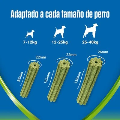 PURINA Dentalife Active Fresh Snacks Dentales Para Perros Medianos 6 PURINA Dentalife Active Fresh Snacks Dentales Para Perros Medianos - Imagen 6