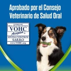 PURINA Dentalife Active Fresh Snacks Dentales Para Perros Medianos 14 PURINA Dentalife Active Fresh Snacks Dentales Para Perros Medianos -Mascota Tienda 1 vohc 7