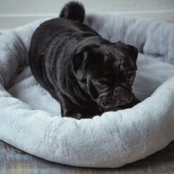 Cama Térmica HAFENBANDE Flory -Mascota Tienda 200322 waagenschmitt hafenbande heizmatte flory hs 11 8