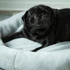 Cama Térmica HAFENBANDE Flory -Mascota Tienda 200322 waagenschmitt hafenbande heizmatte flory hs 12 1