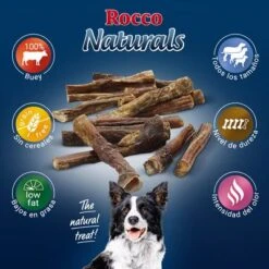 PROMO: 100 Uds. X Rocco Nervio De Buey 12 Cm -Mascota Tienda 2019 09 rocco naturals pizzle 1000x1000 es 7