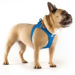 Arnés Curli Vest Clasp Air-Mesh Azul Para Perros -Mascota Tienda 267307 267497 267498 267499 267500 curli vest geschirr clasp airmesh blau hs 03 6