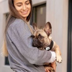 Arnés Curli Vest Clasp Air-Mesh Negro Para Perros 11 Arnés Curli Vest Clasp Air-Mesh Negro Para Perros -Mascota Tienda 267309 267310 267311 267312 267696 267796 curli vest geschirr clasp airmesh schwarz hs 05 4