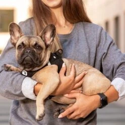 Arnés Curli Vest Clasp Air-Mesh Negro Para Perros 12 Arnés Curli Vest Clasp Air-Mesh Negro Para Perros -Mascota Tienda 267309 267310 267311 267312 267696 267796 curli vest geschirr clasp airmesh schwarz hs 06 6