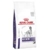 Royal Canin Expert Canine Dental Pienso Para Perros