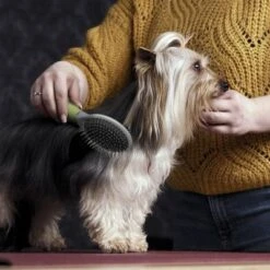 Cepillo De Doble Cara Moser Para Mascotas -Mascota Tienda 289796 moser beidseitige fellpflegebuerste hs 02 1