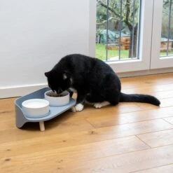 TIAKI Comedero Doble De Cerámica Para Mascotas -Mascota Tienda 302496 duo napf mit katze fg 0999 5