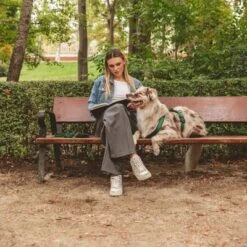 Arnés Nomad Tales Blush Esmeralda Para Perros -Mascota Tienda 323020 nomad tales blush geschirr emerald 01 7