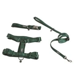 Arnés Nomad Tales Blush Esmeralda Para Perros -Mascota Tienda 323020 nomad tales blush geschirr emerald 06 0