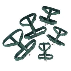 Arnés Nomad Tales Blush Esmeralda Para Perros -Mascota Tienda 323020 nomad tales blush geschirr emerald fg 1293 7