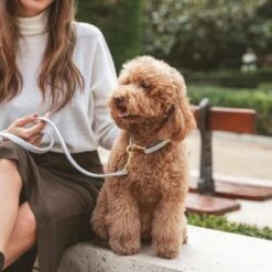 Collar Nomad Tales Calma Piedra Para Perros -Mascota Tienda 326806 326197 nomad tales calma halsband stone 03 5