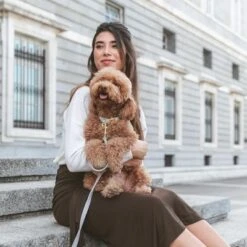 Collar Nomad Tales Calma Piedra Para Perros -Mascota Tienda 326806 326197 nomad tales calma halsband stone 05 0