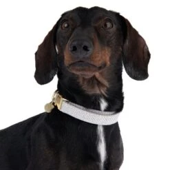 Collar Nomad Tales Calma Piedra Para Perros -Mascota Tienda 326807 calma m fg 7321 6