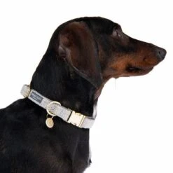 Collar Nomad Tales Calma Piedra Para Perros -Mascota Tienda 326807 calma m fg 7324 6