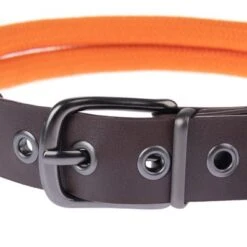 Collar Nomad Tales Spirit Mandarina Para Perros -Mascota Tienda 329297 nomad tales spirit leinen halsbaender fg 1754 8