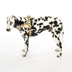 Arnés TIAKI Easy Care Para Perros -Mascota Tienda 332204 easy care geschirr l fg 0477 0