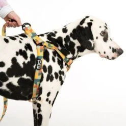Arnés TIAKI Easy Care Para Perros -Mascota Tienda 332204 easy care geschirr l fg 0490 7