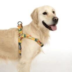 Arnés TIAKI Easy Care Para Perros -Mascota Tienda 332204 easy care geschirr l fg 1749 9