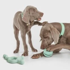 Pelota Portasnacks Nomad Tales Bloom Snack Roller Juguete Para Perros -Mascota Tienda 333015 nomad tales snack ball 01 4