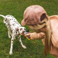 Cuerdas Varias Nomad Tales Spirit Multirope Juguete Para Perros -Mascota Tienda 333098 nomad tales spirit multirope hs 05 3