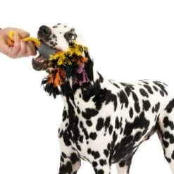 Cuerdas Varias Nomad Tales Spirit Multirope Juguete Para Perros -Mascota Tienda 333098 spirit multirope fg 0536 2