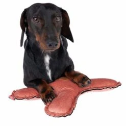 Blush Flying X Nomad Tales Juguete Para Perros -Mascota Tienda 344597 blush fying x fg 7914 4