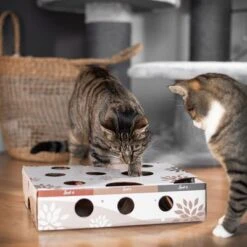 Canadian Cat Company MagicBox Juego De Inteligencia Para Gatos -Mascota Tienda 346599 canadiancat company intelligenzspielzeug magicbox hs 16 0