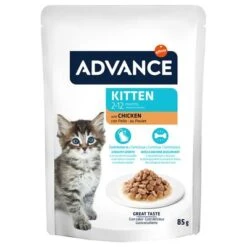 Advance Kitten Con Pollo Comida Húmeda Para Gatos 15 Advance Kitten Con Pollo Comida Húmeda Para Gatos -Mascota Tienda 374500 advance kitten huhn 12x85g hs 04 6