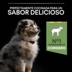 Purina Pro Plan Medium Puppy Sensitive Digestion Cordero Y Arroz -Mascota Tienda 44142631 es es 221230 1 6