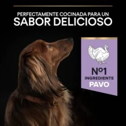 PURINA PRO PLAN Small & Mini Adult Sensitive Digestion Sin Cereales -Mascota Tienda 44157647 es es 221230 1 5