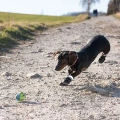 Zapatos Para Perros S & P Boots -Mascota Tienda 52149 hundeschuhe xs fg 0967 9