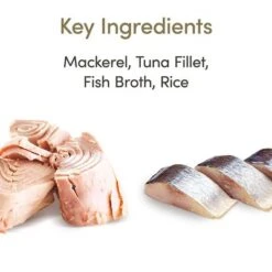 Applaws Latas En Caldo Para Gatos 6 X 156 G -Mascota Tienda 71551 applaws bruehe meeresfisch 156g hs 01 4