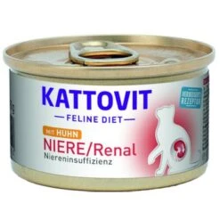 Kattovit Renal (insuficiencia Renal)
