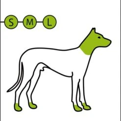 Máquina Cortapelo Moser Rex Mini Para Retoques 12 Máquina Cortapelo Moser Rex Mini Para Retoques -Mascota Tienda 78265 moser rex mini hs 04 5