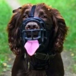 Bozal Baskerville Ultra 2.0 Con Cierres De Plástico -Mascota Tienda 94512 maulkorb baskerville ultra hs15 6