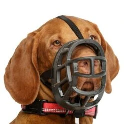 Bozal Baskerville Ultra 2.0 Con Cierres De Plástico -Mascota Tienda 94513 maulkorb baskerville ultra hs7 2