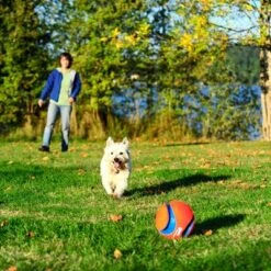 Pelota Chuckit! Kick Fetch Para Perros -Mascota Tienda 99703 petmate chuckit kick fetch large hs 04 9