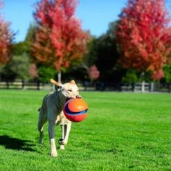 Pelota Chuckit! Kick Fetch Para Perros -Mascota Tienda 99703 petmate chuckit kick fetch large hs 06 3