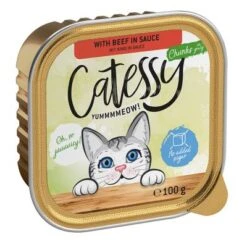 Catessy En Tarrinas 32 X 100 G - Pack Mixto -Mascota Tienda catessy chunks beefinsauce 100g 1000x1000 2
