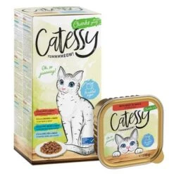 Catessy En Tarrinas 32 X 100 G - Pack Mixto -Mascota Tienda catessy chunks boxtray b c m m 8x100g 1000x1000 1